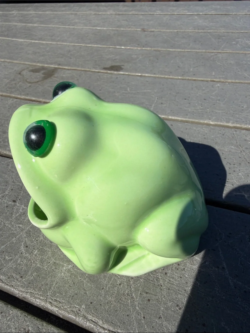 Green Frog-Shaped Feeding Dish for Kitchen & Home